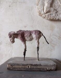 WhatsApp Image 2026-02-02 at 13.53.49