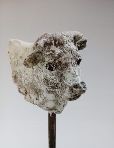 WhatsApp Image 2026-02-02 at 13.53.50 (1)